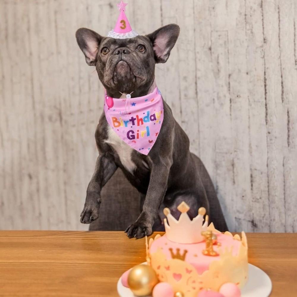 Adjustable Pet Birthday Caps Cute Dog Birthday Bib Cat Triangle Scarf  Puppy Costume
