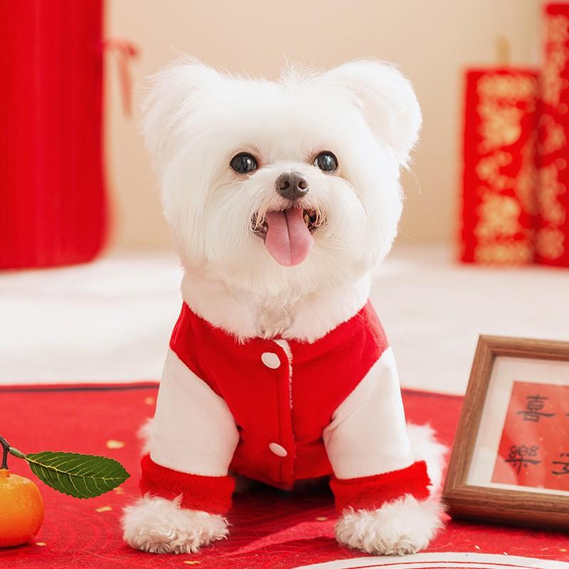 Winter Pet Dog Velvet Chinese Lion Costume Cotton Coat Thick Warm Outfit Small To Large Dogs