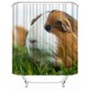 Custom High Quality Guinea Pig Shower Curtain Waterproof Bathroom Polyester Fabric Bathroom Curtain