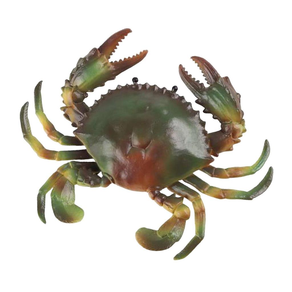 Mini Crab Figurines Model Educational Learning Toy for Children Toddlers Green