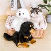 Poupées et peluches – Animaux en peluches