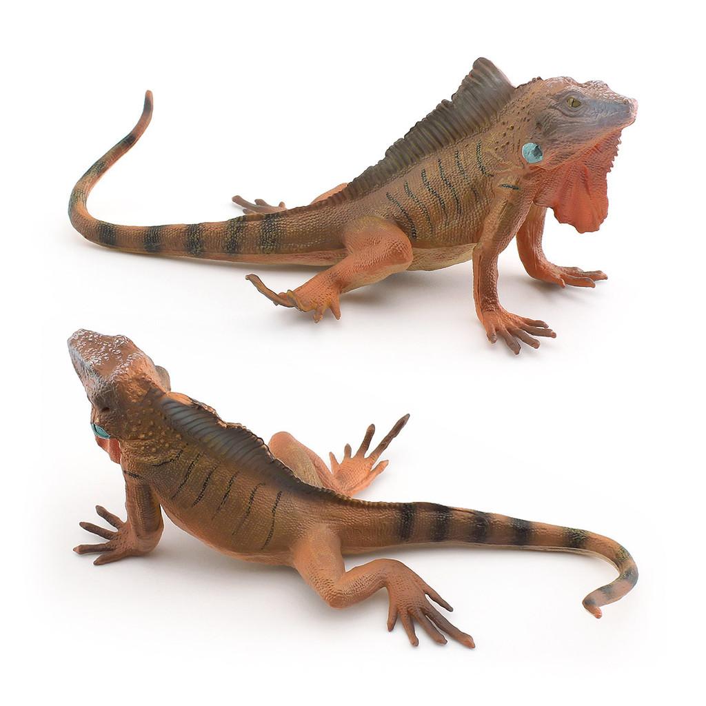 Amphibian Lizard And Reptile Model Pvc Static Figures For Kids Use Educational