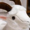 30/40cm Baby Goat Plush Doll Cute Animal Horned Sheep Plush Toys Doll Toys   Room Decoration