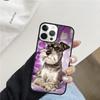 Miniature Schnauzer Puppy Dog Mobile Phone Cases Cover For iPhone 17 Air 16 15 14 12 13 11 Pro MAX apple Plus SE2020 Coque