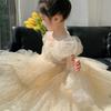 Dress Girls Princess Birthday Party Bow Summer Skirt Baby Girl's Bubble Sleeve Mesh Sequin Sweet Cute