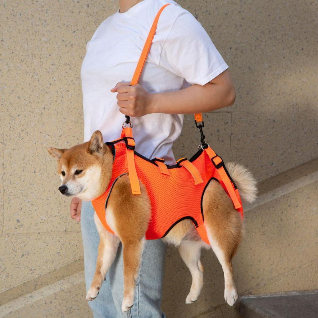 GIIPET Dog Care Dog Care Walking Elderly Care Easy to Put On and Take Elderly Medium Small Assists Front and Back Convenient for Going Out L -