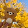 12cm Peluche Carino Rilakkuma Korilakkuma Orso Marrone Beige Cartone Animato Bambola Imbottita Adorabili Peluche Regali di Compleanno Per Ragazza