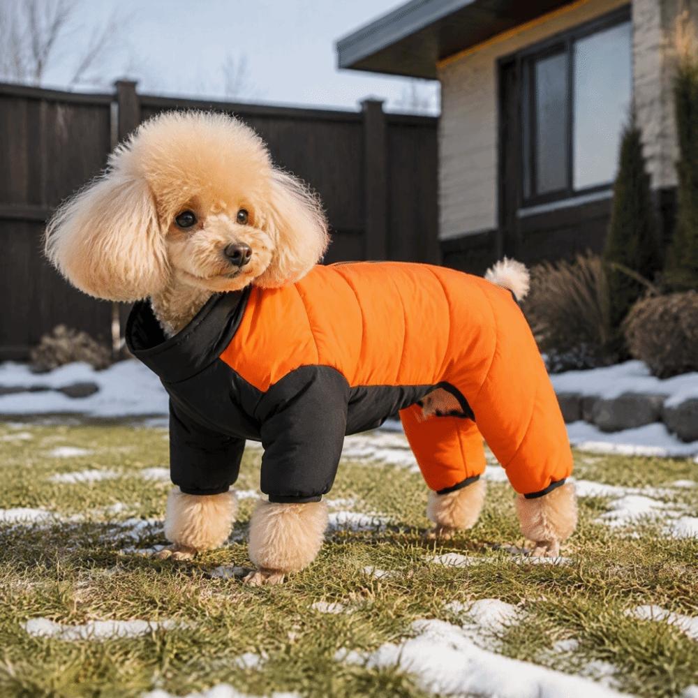 Warmer Hundejumpsuit Mantel Winddicht Welpen Skianzug Hund Baumwolljacke Winter Haustierbekleidung Tägliche Kleidung
