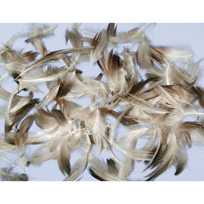 Plumes Mélange Pepita 7-9 cm 10 g