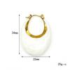 Women 18K Gold Plated Titanium Steel U-shaped Glaze Drop Dangle Earrings Niche Light Luxury Autumn Winter Daily Commute Street Shooting Jewelry