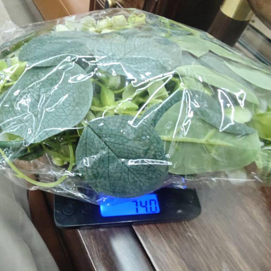 180cm Christmas Rattan Full Of Leaf Plant Rattan