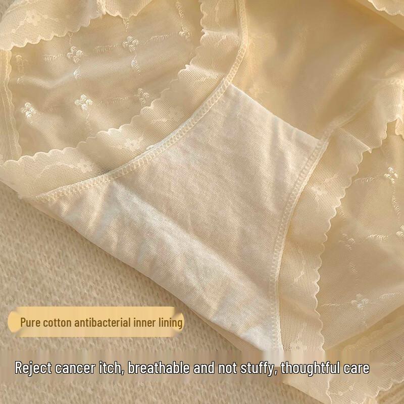 FitonTon Women's Lace Trim Briefs 5-Pack