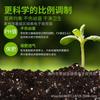 Organic Nutrient-Rich Planting Soil for Flowers, Vegetables, Succulents & Potted Plants with Natural Fertilizer