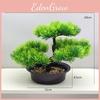 Scotch Changpai Plastics Pine Thuja Sutchuenensis Green Plant With Pot Stone And