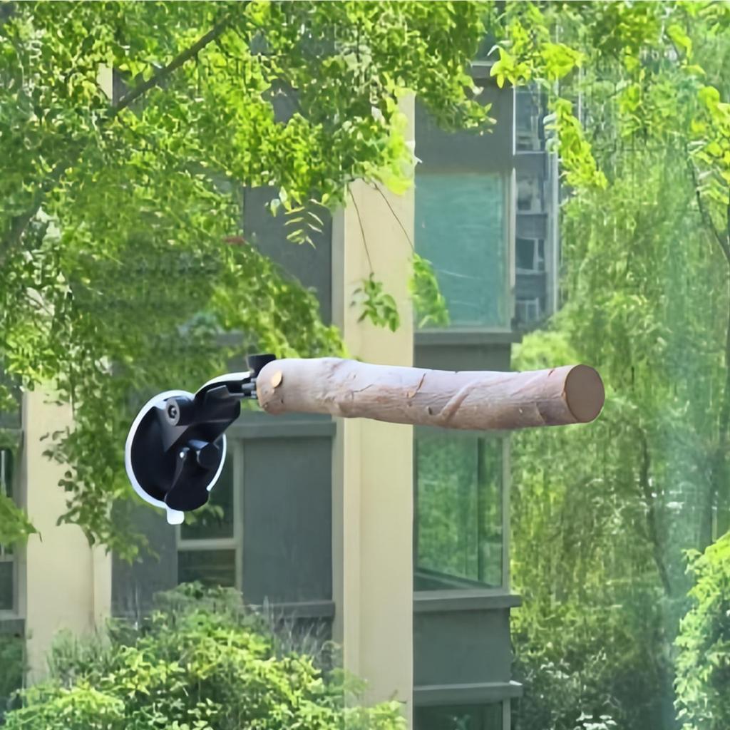 Window Perch For Birds 2 Pieces Adjustable Portable Mount Wooden Stand Travel Perch Stand With Suction Cup For Balcony Apartment