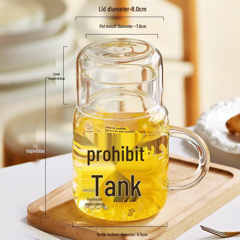 ZISIZ Large Capacity Glass Cup with Lid