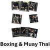 Camouflage Two Tone Training Muay Thai Boxing Kickboxing Print Shorts Quick Dry Martial Art Boxer Unisex Men Women Kid Pants Fighting Fitness Workout