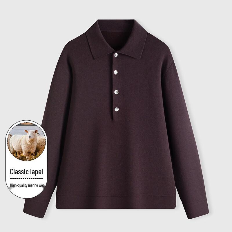 LUOZI Men's Premium Turn-Down Collar Wool Sweater