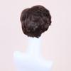 Synthetic Fashion Short Curly Wig for Men Fake Hair Natural Mixed Brown Male Wig Daily Use Heat Resistant Fiber