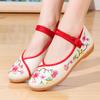 Fashion New Spring and Autumn Summer Casual Women's Flat Shoes Casual Embroidery Ladies Shoes 2025