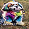 1pc Rainbow Dog Automatic Open/Close Umbrella Compact Folding Umbrella with 8-Rib Shaft for Women/Men, Portable Travel Umbrella,1232S