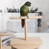 Standing Chewing Toy Hammock Small Bird Play Stands Wood Gym Stand Ladder for Healthy Development