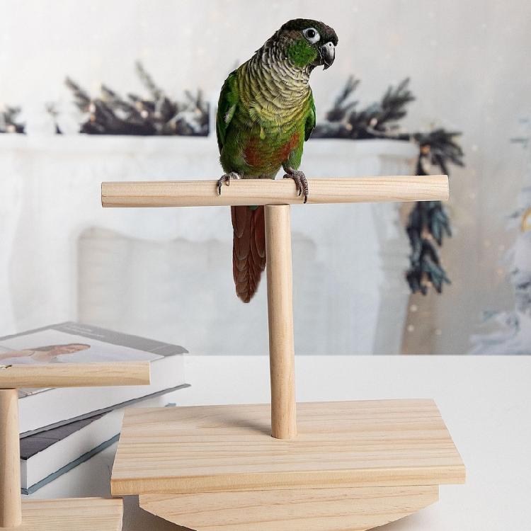 Standing Chewing Toy Hammock Small Bird Play Stands Wood Gym Stand Ladder for Healthy Development