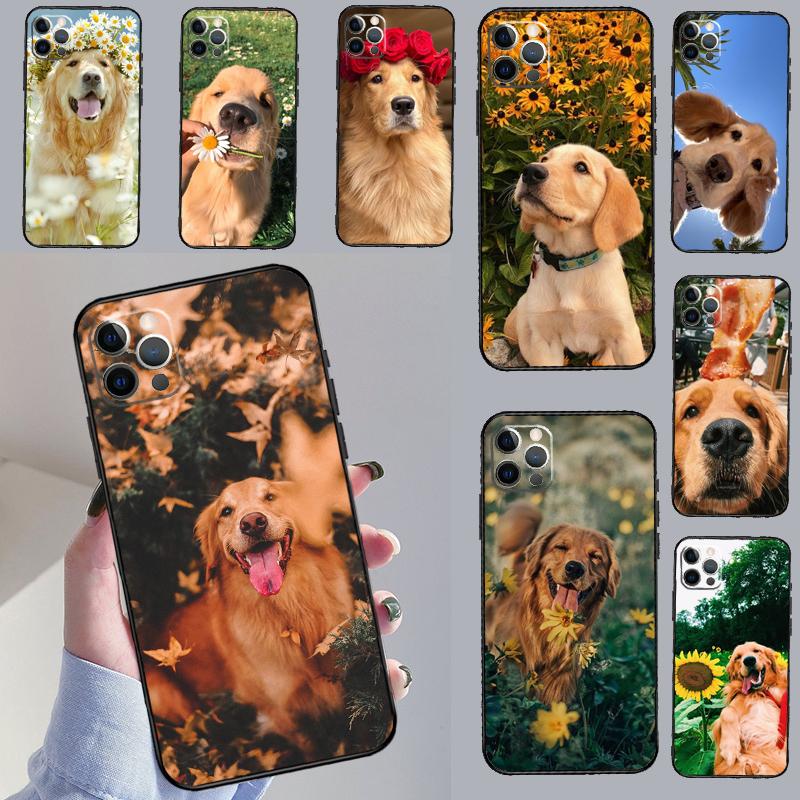 Golden Retriever Friend Phone Case For iPhone 15 14 13 12 11 16 17 Pro Max 13 Mini 15 16 Plus 16e 17 Air Cover Funda
