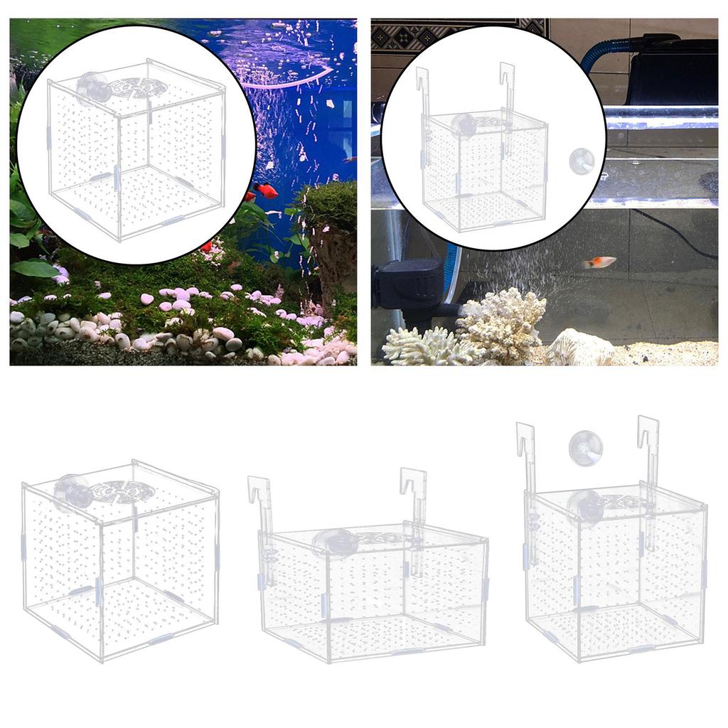 Aquarium Isolation Box Fish Hatchery Isolation Box Acrylic Reusable Aquarium Accessory for Guppy Baby Prawn Aggressive Fish