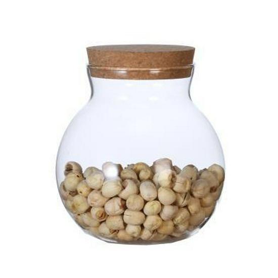 High Borosilicate Glass Airtight Jar with Cork Stopper for Moss or Terrariums