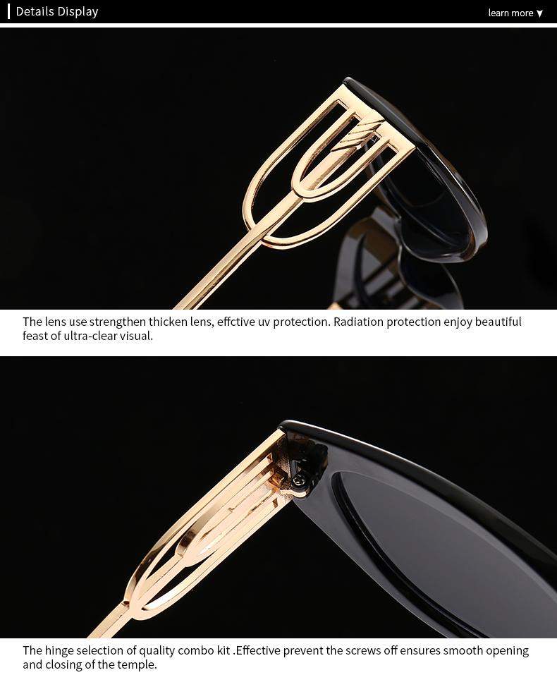 Angular Cat-Eye Sunglasses Modern Retro Temples with Jumping Shape Decorative Sunglasses for Women Fashion Lh