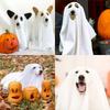 Loose Dog Cloak Party Cosplay Dog Halloween Clothes Novelty Pet Apparel  for Halloween Party