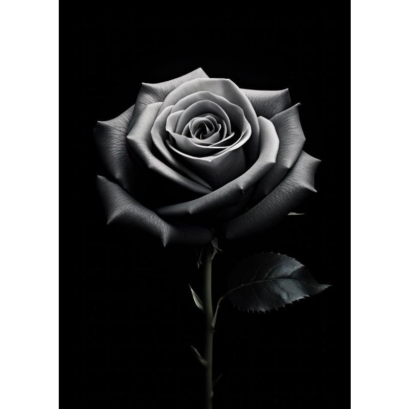 

Золотая Черная Роза Цветок Подсолнух Лилии Постеры Скандинавское Искусство Растение Холст Картина Современная Настенная Картина для Домашнего Декора Cuadros 21cm×30cm NoFrame