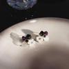 Retro Bohemian Blossoms of Flowers Stud Earrings Black White Square Crystal Women's Small Earrings Vintage Unusual Ear Jewelry