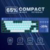 68-Key Wired Mechanical Gaming Keyboard - Hot-Swappable Blue Switches, Dual-Color Injection Keycaps, Ice Blue Backlight