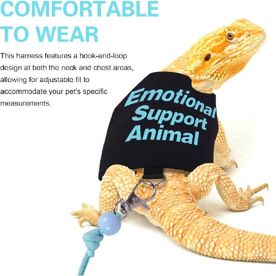 Bearded Dragon Harness and Leash Set Adjustable Reptile Lizard Leash Rope Vest Clothes Starter Kit Accessories for Small Animal Outdoor Walking