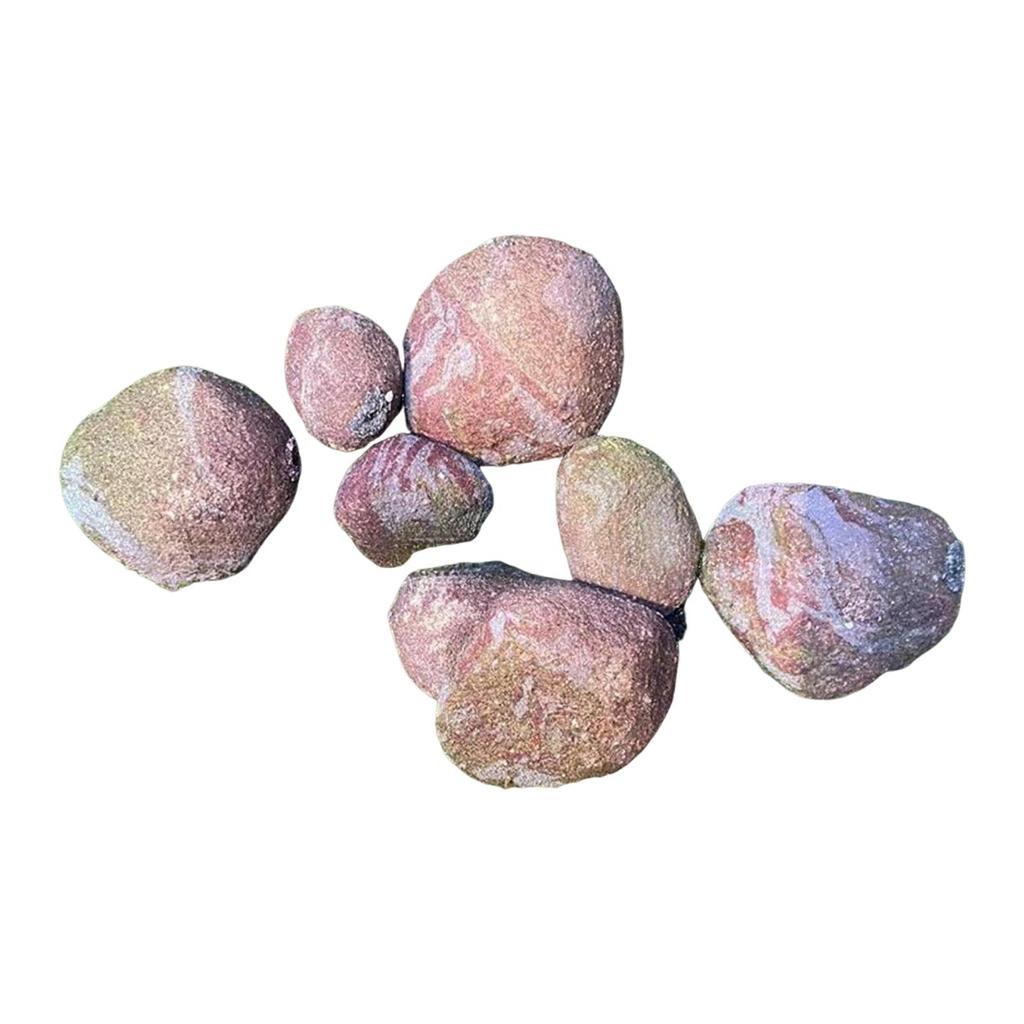 8Pcs Artificial Rocks Realistic Decoration Versatile Miniature for Home Fairy