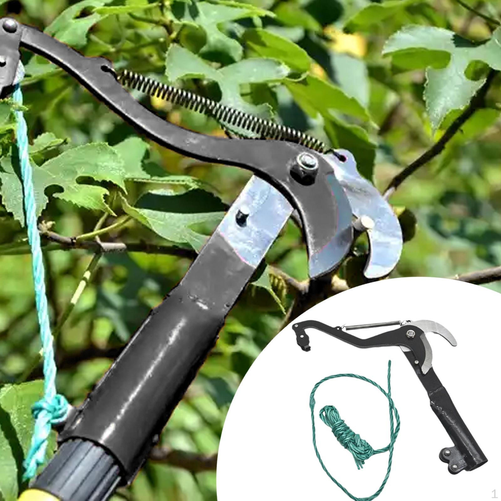 

Высотные секаторы Садовый инструмент Плодосборник Многофункциональный Прочный Сучкорез с чёрный