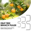 30pcs Fruit Tree Branch plant Supports Pressing Spreader Improve Production of the Fruit for Spreading Crotch Angles Branches