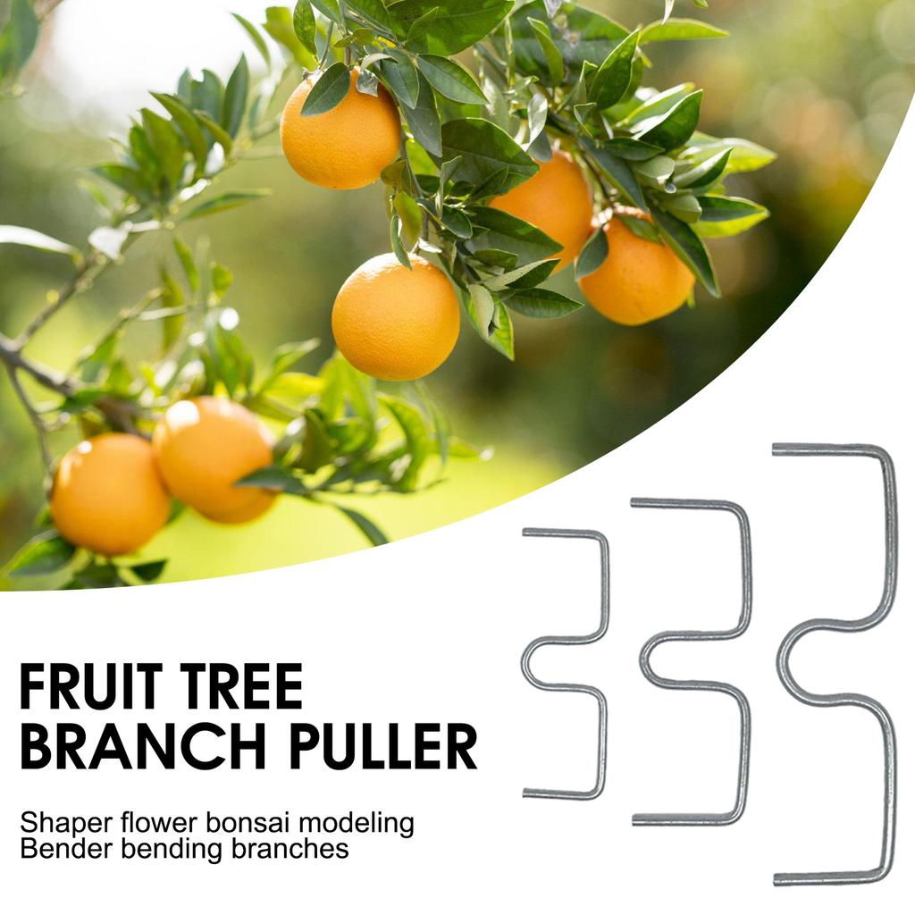 30pcs Fruit Tree Branch plant Supports Pressing Spreader Improve Production of the Fruit for Spreading Crotch Angles Branches