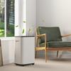 Electric Dehumidifier, 6 L Tank, 20 L/Day, 3 Modes, 2 Speeds, Timer, 33.5 x 26 x 53 cm, White
