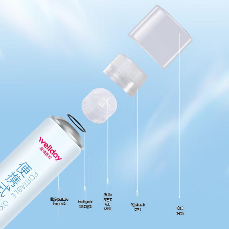 Portable Oxygen Tank Set