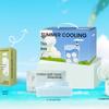 Kit Essencial de Refrescamento para o Verão
