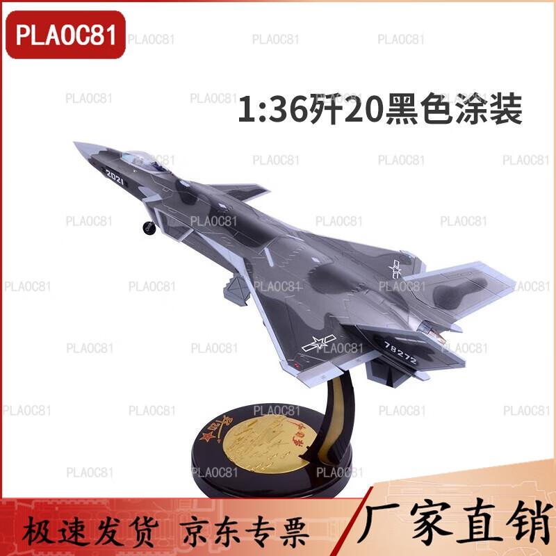 PLA J-20 Fighter Jet Scale Model