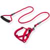 Adjustable Dog Leash and Collar Set for Small, Medium, and Large Dogs - Ideal for Walking Pets like Teddy and Golden Retriever