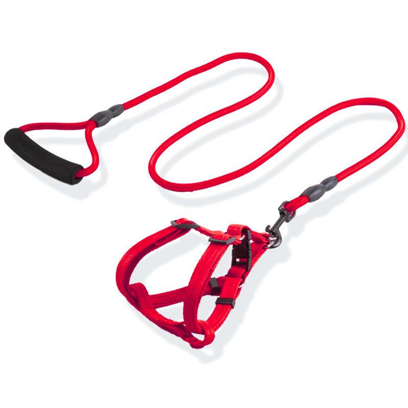 Adjustable Dog Leash and Collar Set for Small, Medium, and Large Dogs - Ideal for Walking Pets like Teddy and Golden Retriever