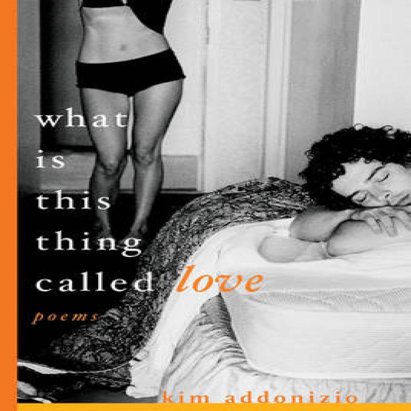 What Is This Thing Called Love by Kim Addonizio Paperback Book 9780393327090