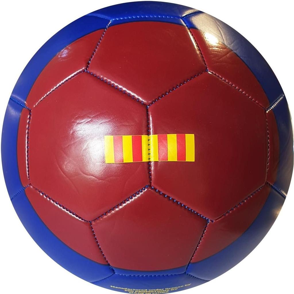 FC Barcelona football Blaugrana Stripes 375054 multicolor