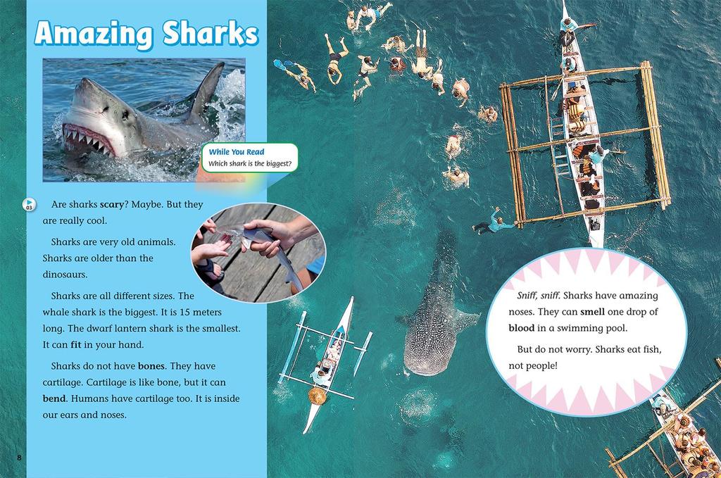 e-future Smart Reading 4-1 Student Book English Teaching Materials