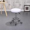 Adjustable Swivel Beauty Stool - Simple Lab & Bar Round Stool